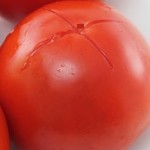 Tomaten gegrillt mit Lachs und Käse