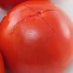 tomaten gegrillt mit lachs und käse