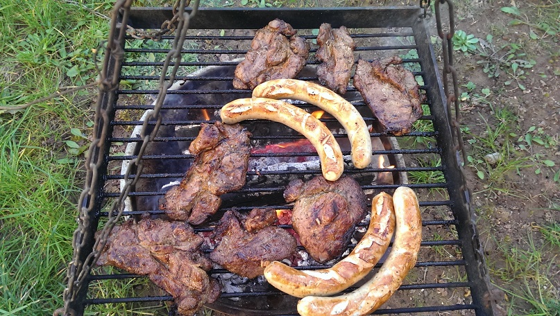 Grillzangentest 2014