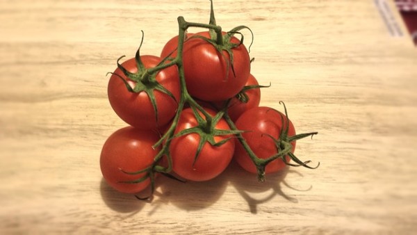 frische tomaten