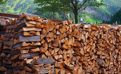 buchenholz für den Holzbackofen