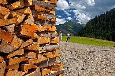 holzbackofen buchenholz