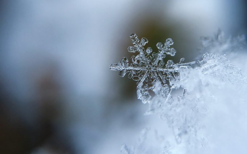 focused photo of a snow flake